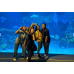 AQUARIUM ONLY